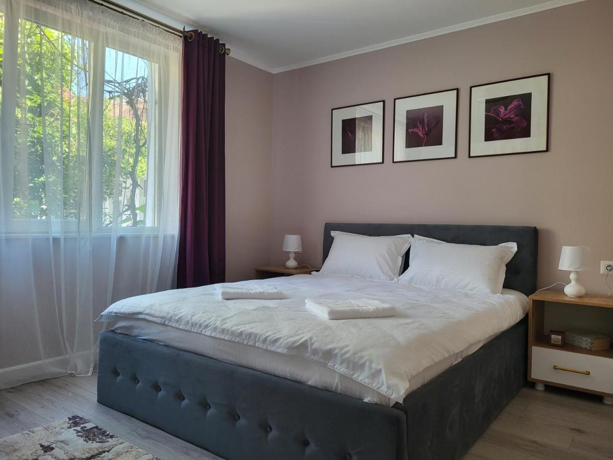 Pandora Central Apartment Κλουζ-Ναπόκα Εξωτερικό φωτογραφία